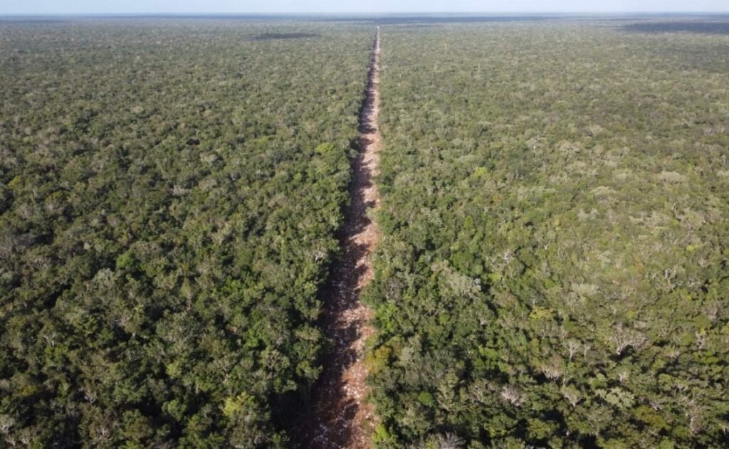 Denuncian Ante Profepa Aperta de Nuevo Camino que conecta al Tramo 5 Del Tren Maya; Señalan ImpactO Ambiental