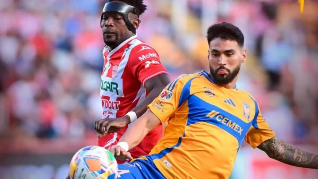 NECAXA VA POR SU ÚLTIMO OPORTUNIDAD; Tigres apela una su experiencia