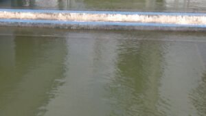 Corte de Agua en Reynosa 21 de Mayo: Horario y Connarars Afectadas