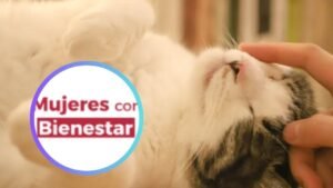 Mujeres Con Bienestar 2025: Así Obtienes Asistencia Veterinaria Gatis para ‘Michis’ y ‘Lomitos’