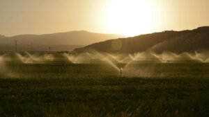 Sin Agua No Hay Comida: México USA 475,000 Millones De M³ Al Año, 90% Va Al Agro e Industria