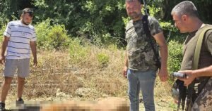 Abaten a León Tras atacar una persona una persona una persona y lo exhiben como trofeo | Fotos