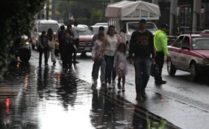 Intensas lluvias dejan 47 encharcamientos y 22 árboles caídos en cdmx; Cayeron Más de 4 Millones de Metro Cúbicos de Agua | El universal