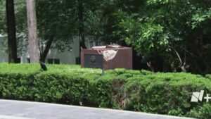 ¿Qé Pasará con la Estatua del expresidente Felipe Calderón Tirada por Un “?