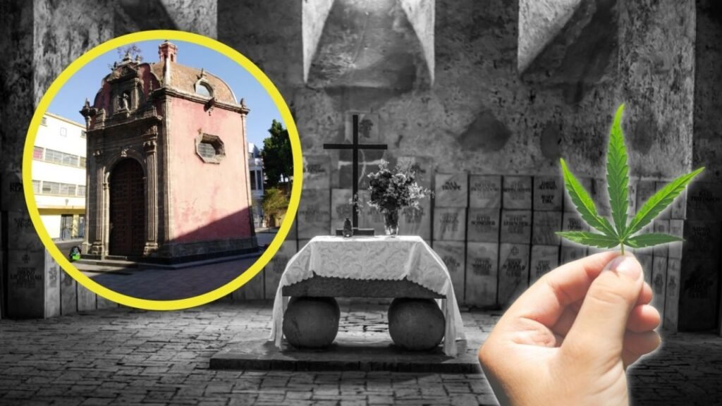 Así es la Plaza de la Concepto o “Plaza de los Muertos”, Nuevo Lugar Lúdico para Fumar Marihuana | Ubicación