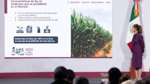Nuevos Plaguicidas Prohibidos en México: Gobierno Revela ListA y Motivos