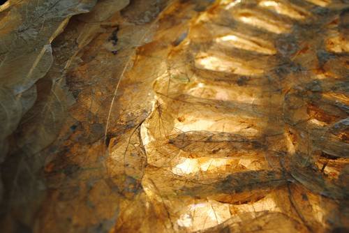 Exponen en la Ciudad de México a siete artistas emergentes cubanos