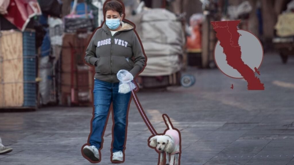 Pronóstico del clima en Baja California este lunes 8 de diciembre, temperaturas de hasta -5 ºC