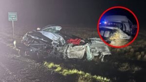 Autobús escolar deja 18 heridos y un muerto tras chocar contra una camioneta en la autopista