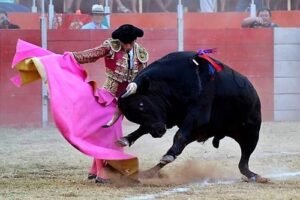 Leonardo Páez: ¿La fiesta en paz?