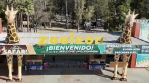 Zoológico de León Cierra: Profepa Realizara Proceso de Verificación