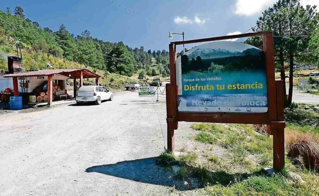 Impulsan ecoturismo responsable en el Nevado | El Universal