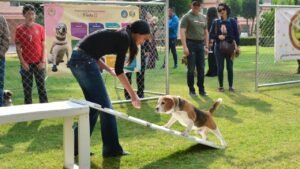 “Frida II”, el nuevo parque canino en CDMX ideal para visitar en estas vacaciones con toda la familia