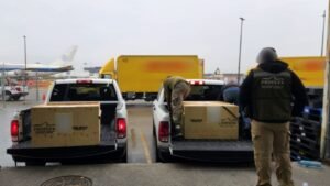 Profepa coordina transporte de tortugas aseguradas en el aeropuerto de Tijuana