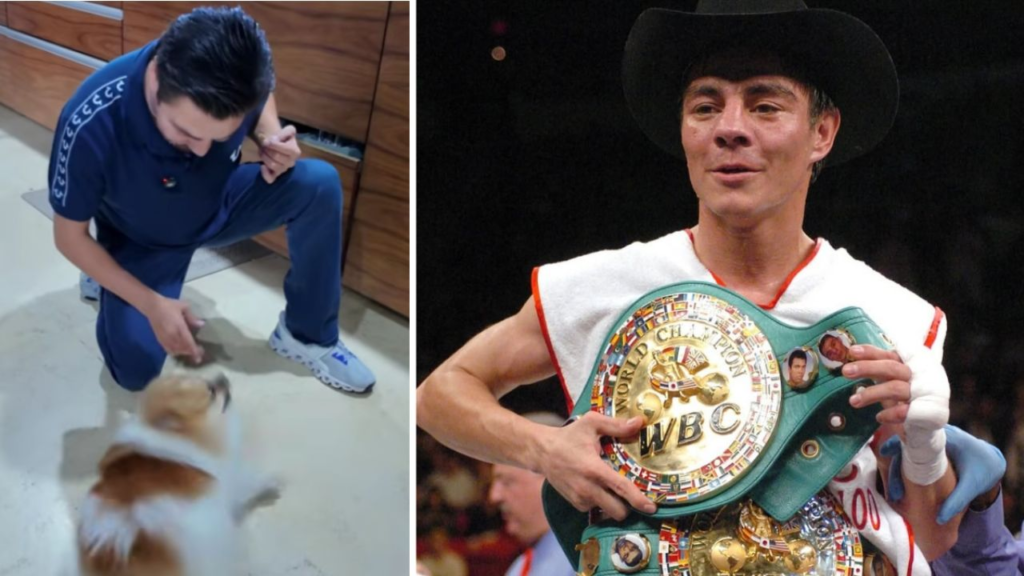 “El Travieso” Arce presume su nueva faceta, pasó de ser boxeador a encantador de perros | Video