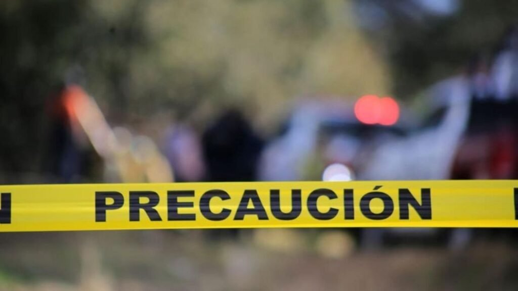 Detienen un trailero que mató a peatón en Tepepan