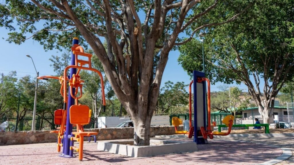 Clima en León este miércoles 11 de febrero: cielo despejado y ambiente templado todo el día