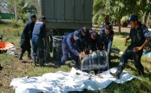 Limpian playas de Veracruz por hidrocarburo recolectan 8 toneladas en el norte del estado