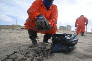 Recolectan más de 825 toneladas de hidrocarburos por derrame en costas del Golfo de México