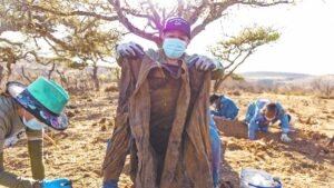 Decisión en ONU abre paso para atender crisis