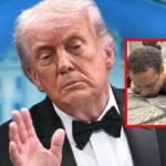 Donald Trump afirma que Cole Allen, tirador de la cena de corresponsales, disparó contra un hombre y tenía múltiples armas