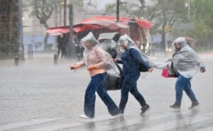 Lluvias fuertes en CDMX dejan al menos 20 árboles caídos y 16 encharcamientos; varios inmuebles quedaron afectados en Iztapalapa y Coyoacán | El Universal