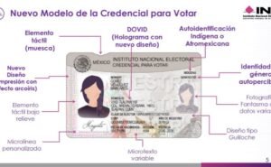 INE presenta nuevo modelo de Credencial para Votar; cuenta con 25 elementos de seguridad | El Universal