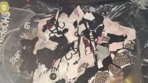 Detienen a una fardera de 15 años por robar prendas de ropa con valor de 20 mil pesos en CDMX